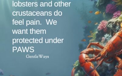 Protecting Crustaceans Under Ontario’s PAWS Act